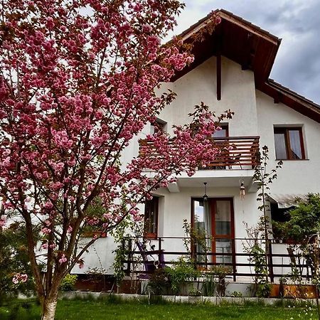Cristina House Apartment Brasov Ngoại thất bức ảnh