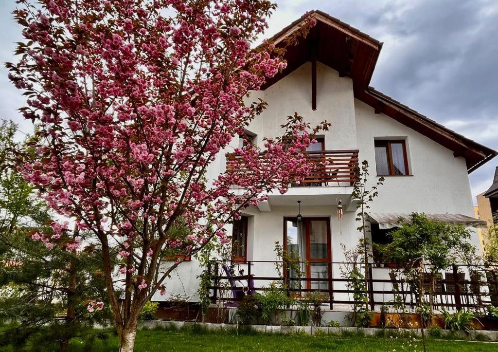 Cristina House Apartment Brasov Ngoại thất bức ảnh
